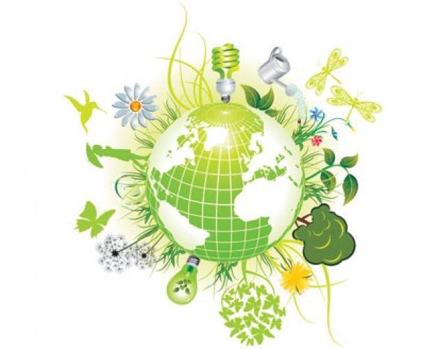 Aprende a comprar productos ecologicos