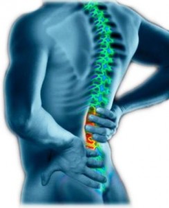 Artritis vertebral y gota