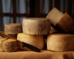 Como conservar y elegir un Queso
