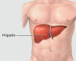 Cómo prevenir las enfermedades hepáticas Cómo prevenir las enfermedades hepáticas