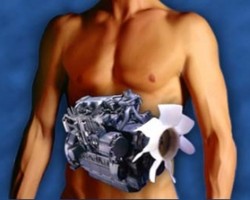 Consejos para acelerar tu metabolismo de forma natural Consejos para acelerar tu metabolismo de forma natural
