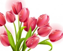 Como enviar Flores a domicilio en España Como enviar Flores a domicilio en España