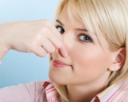 Cómo eliminar los malos olores en tu casa Cómo eliminar los malos olores en tu casa