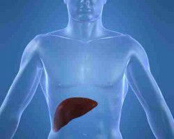 Consejos para tener un hígado sano Consejos para tener un hígado sano