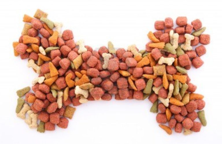 Cómo comprar comida para mascotas a un mejor precio