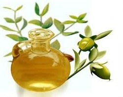 Cómo utilizar el aceite de jojoba para el rostro Cómo utilizar el aceite de jojoba para el rostro