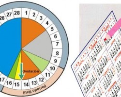 Conoce el método del ritmo