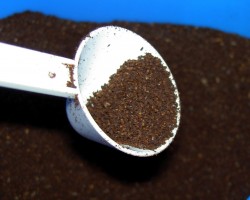 Cómo eliminar las hormigas de las plantas Cómo eliminar las hormigas de las plantas