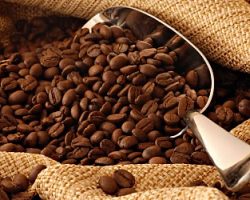 Aprende a diferenciar, Café en grano vs. Café soluble ¿cuál es el mejor? Aprende a diferenciar, Café en grano vs. Café soluble ¿cuál es el mejor?