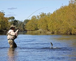 Aprende a practicar la pesca deportiva Aprende a practicar la pesca deportiva