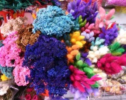 Aprender como secar flores