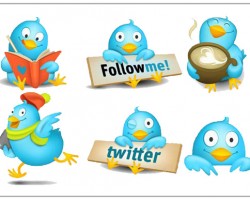 Aprender a usar Twitter Aprender a usar Twitter