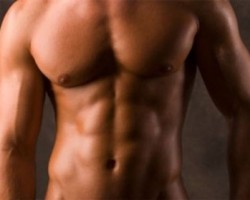 Aumentar la masa Muscular Aumentar la masa Muscular